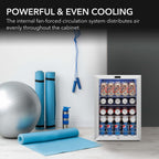 Whynter BR-091WS 98-Can Beverage Refrigerator